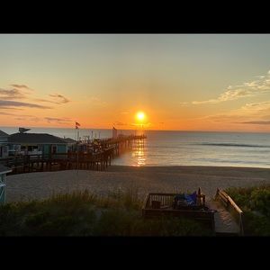 Meet your Posher, Callie